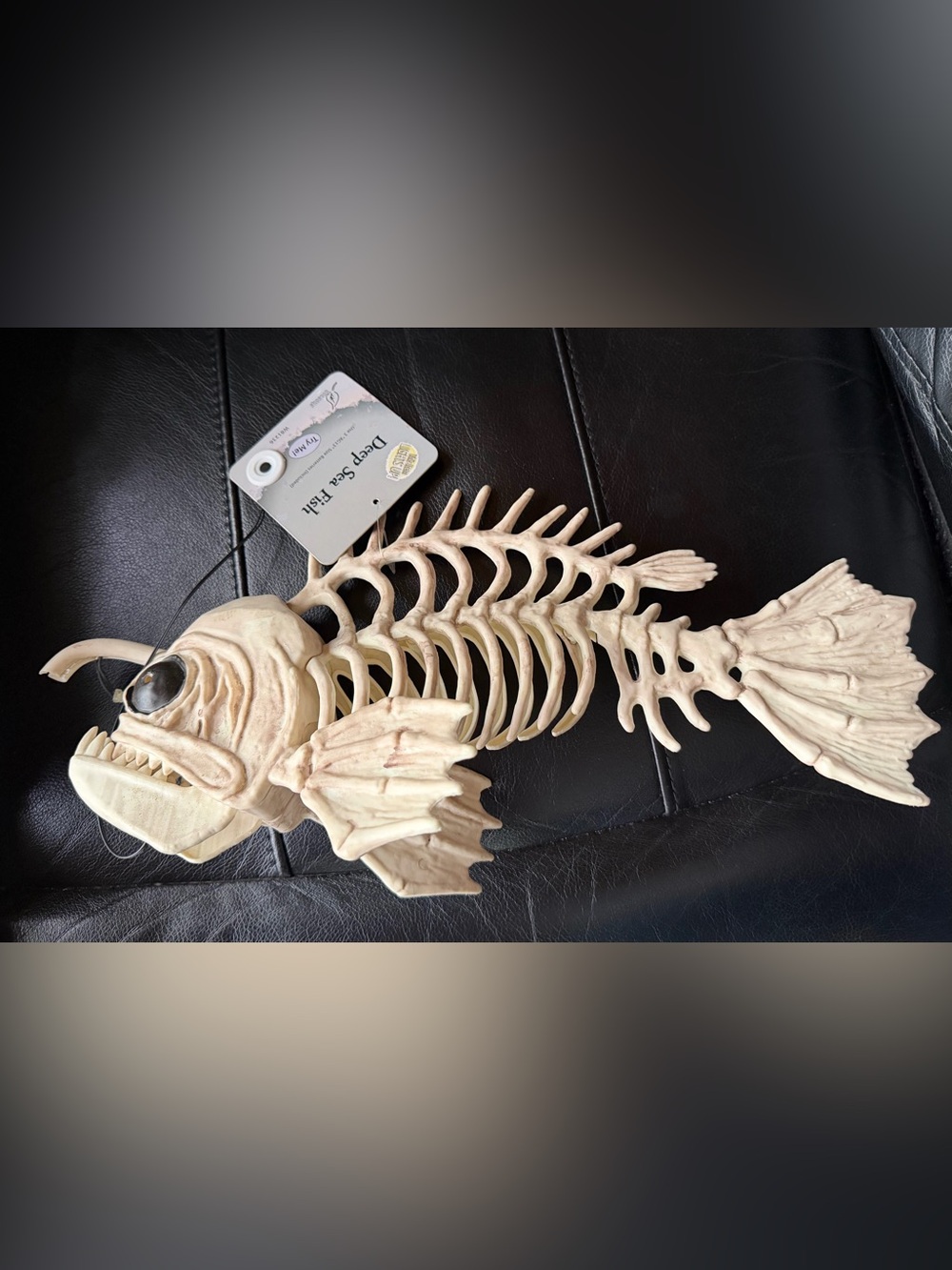 NWT  Cream Fish Skeleton Décor